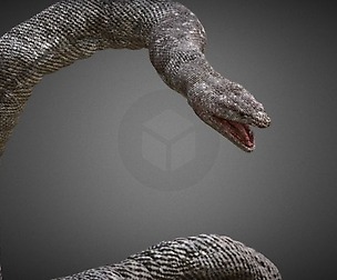 White Snake