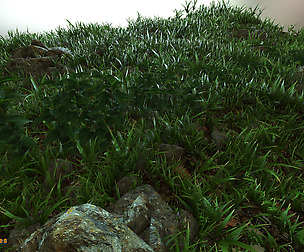 Yughues Urtica