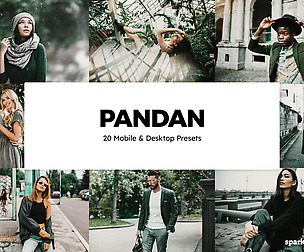 20 Pandan Lightroom Presets and LUTs