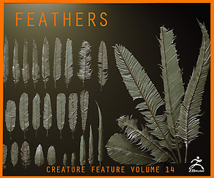 FEATHERS - 40 High poly sculpts and IMM Brush