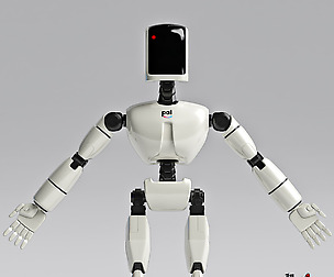P.A.L. MAX