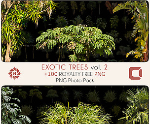 Exotic Trees 2 - PNG Photo Pack