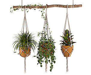 Indoor Plants Set 01-Hanging Plants with macrame