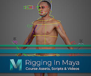 Biped Rigging - Full Course