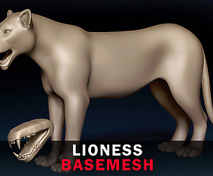Lioness Base Mesh 3D model