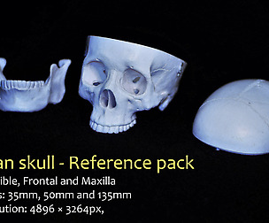 Human skull - Reference pack