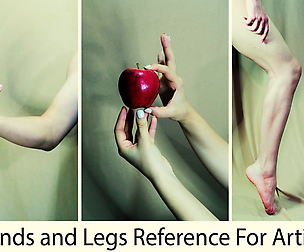 Hands and Legs Reference For Artists