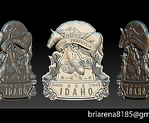 USS Idaho SSSN 799