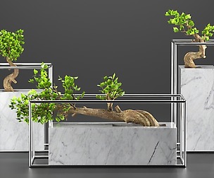 plant collection 001