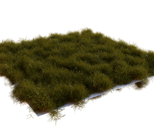 High-Quality Realistic Grass