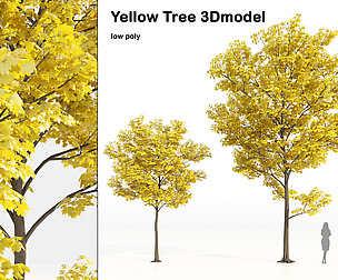 Yellow leaf autumn tree