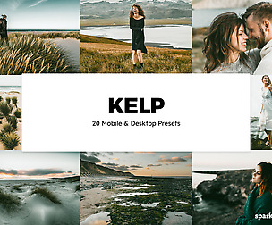20 Kelp Lightroom Presets and LUTs