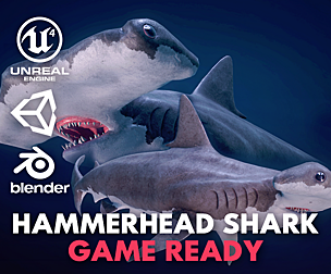 Hammerhead Shark - Game Ready