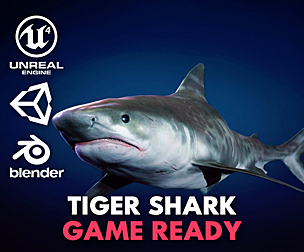 Tiger Shark - Game Ready