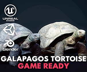 Galapagos Tortoise - Game Ready