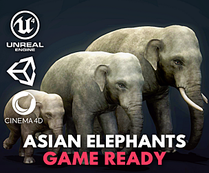Asian Elephants - Game Ready