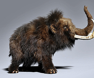 Woolly Mammoth - Rigged With Fur