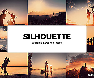 20 Silhouette Lightroom Presets and LUTs