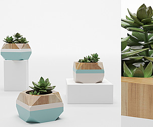 Decorative Vase_ 430_001