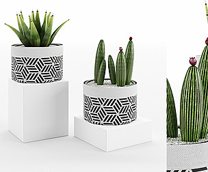Decorative Vase_ 431_003