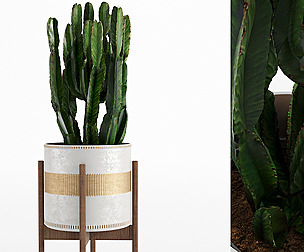 Decorative Vase_ 435_004