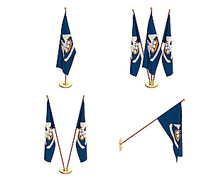 Louisiana Flag Pack