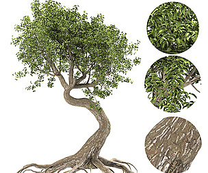 weed_Bonsai_02