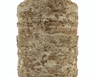 Coral Rock 01