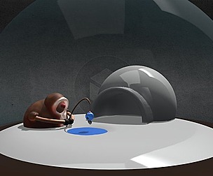 Snow Globe Low-poly