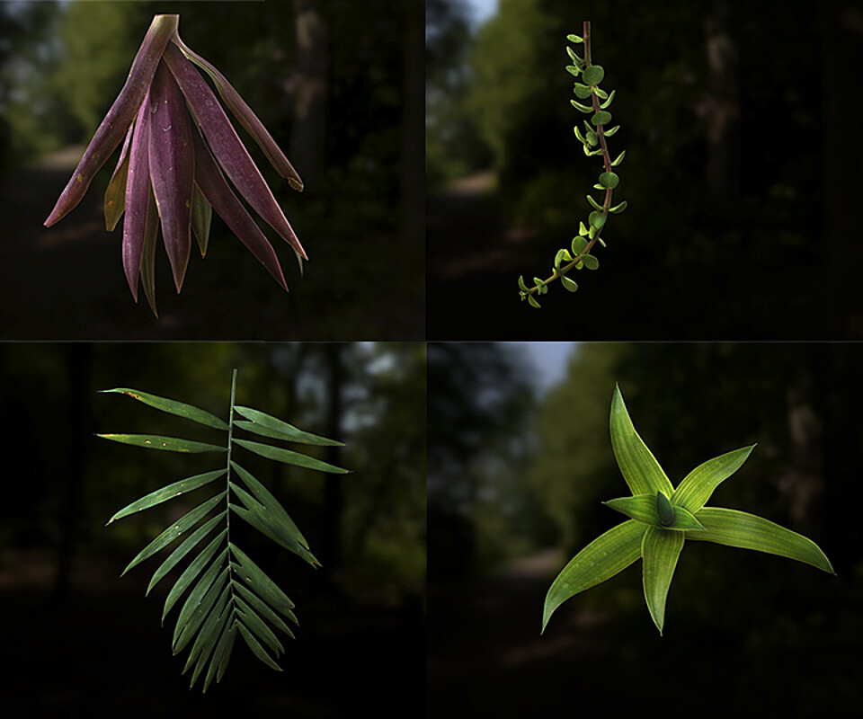 Leaf Pack Pbr Texture With Alpha Map 6697