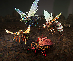 Wasps pack