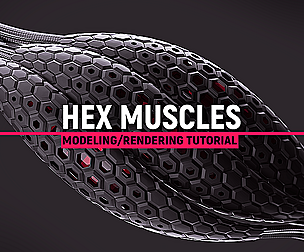 Modeling Hex Muscles in Blender