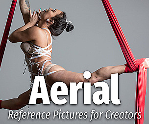 Aerial - Reference.Pictures