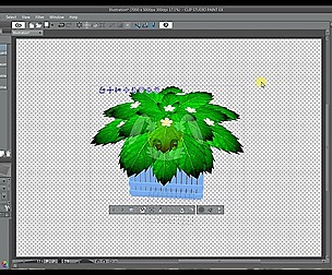 3D Material - Clip Studio Paint - Potted Plant 02