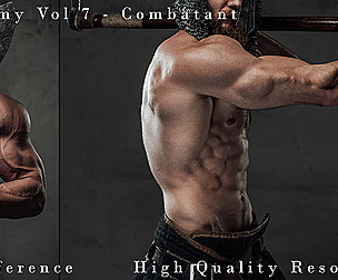 Anatomy Vol 7 - Combatant