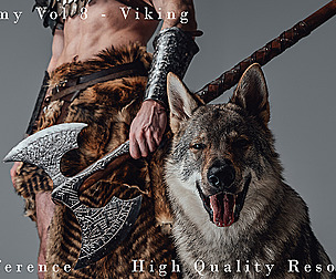 Anatomy Vol 8 - Viking