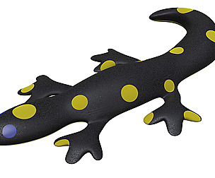 Stuffed salamander toy