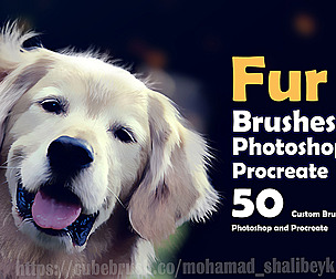 50 Fur brushes for Photoshop and procreate