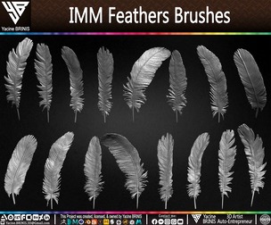 IMM Feathers Brushes
