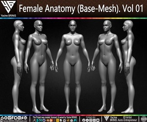 Female Anatomy (Base-Mesh) Volume 01