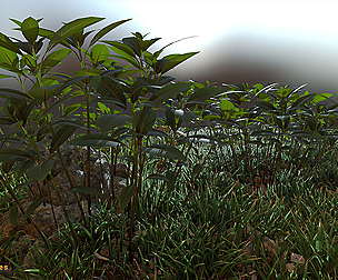 Yughues NoNameWeed 02