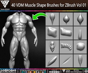 40 VDM Muscle Shape Brushes for ZBrush Volume 01