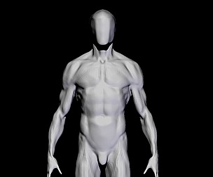 anatomy for study