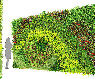 greenwall  fitowall V01 by Mehrazvira