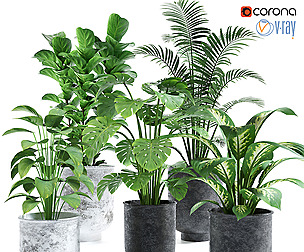 plants set 03