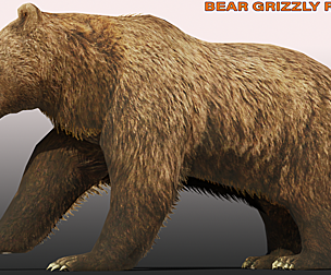 BEAR LOW POLY RIGGED