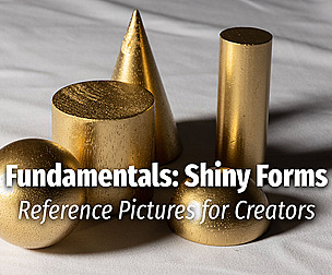 Fundamentals: Shiny Forms