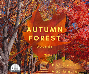 Autumn Forest Sounds