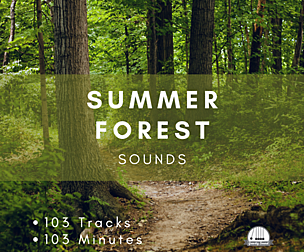 Summer Forest Sounds