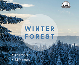 Winter Forest Sounds